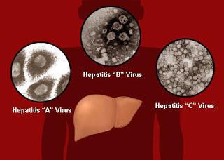 Прививка от гепатита а побочные действия 13