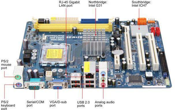 материнская плата asrock g31m gs