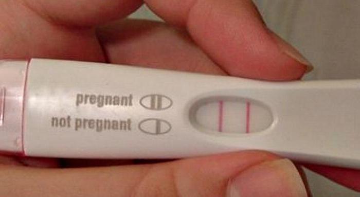 тест на беременность 2 полоски