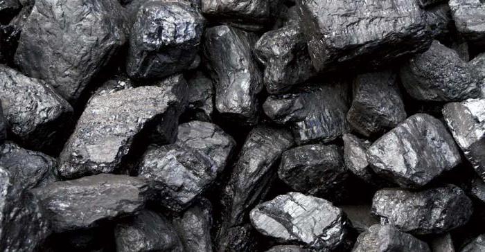 образование каменного угля
