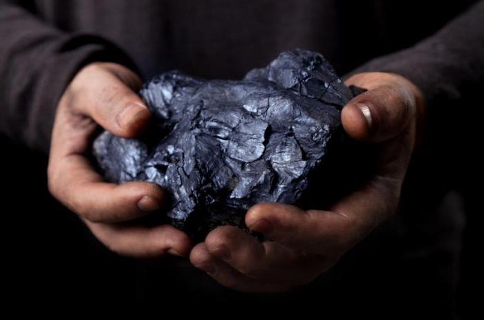 образование каменного угля биология