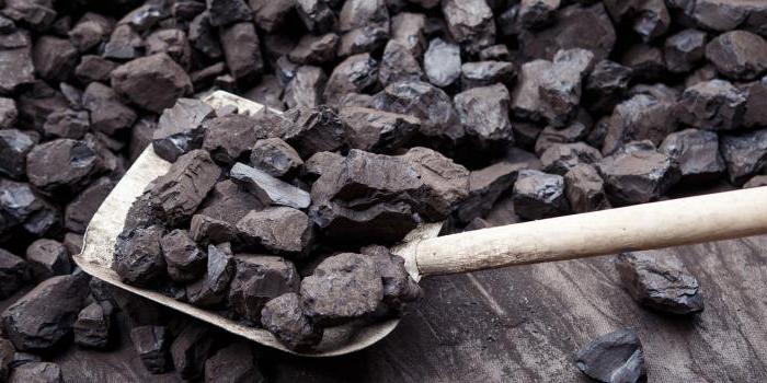 образование каменного угля 5 класс