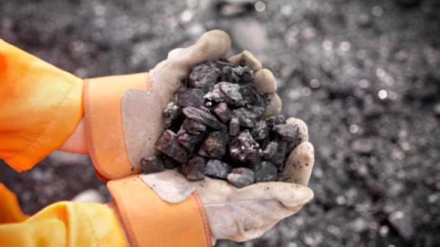процесс образования каменного угля