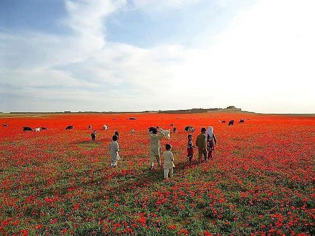 Кандагар город в Афганистане