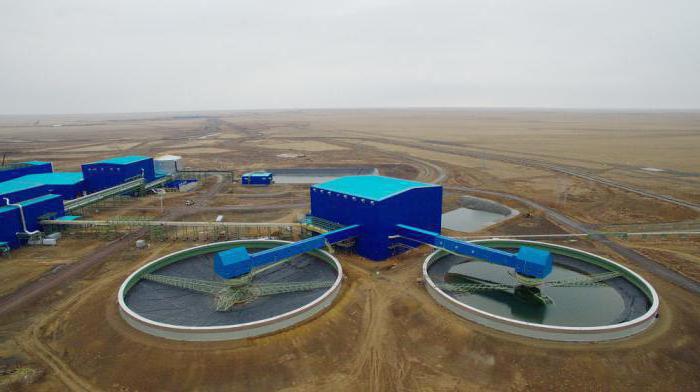 какие полезные ископаемые казахстана