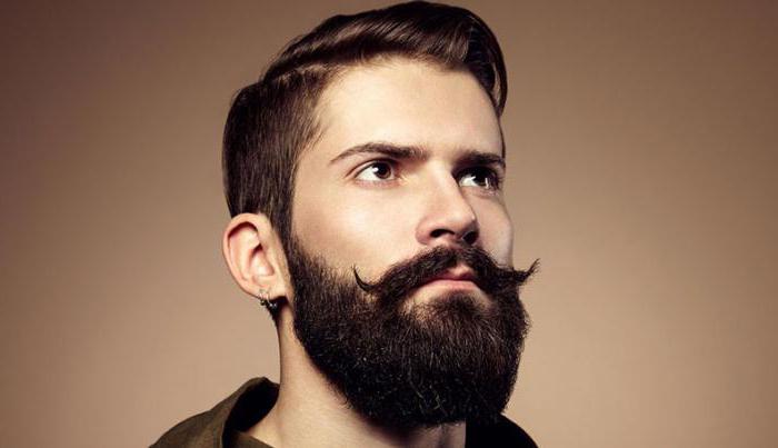 мужская борода