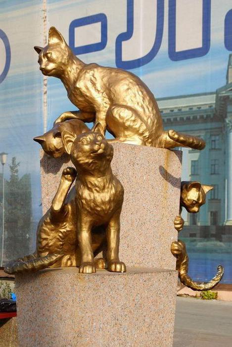 сквер сибирских кошек фото