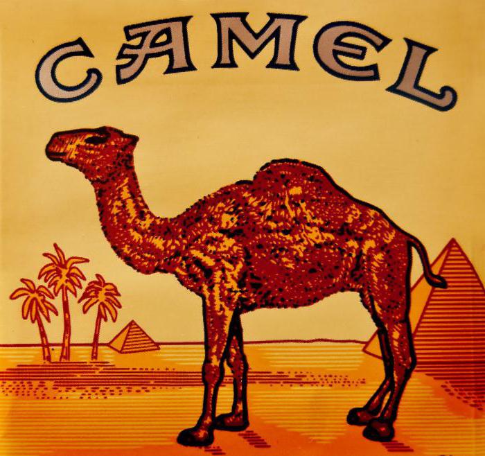 camel сигареты