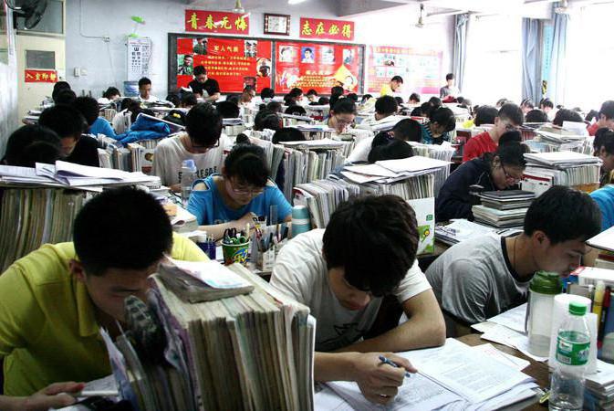 Бесплатное обучение в Китае