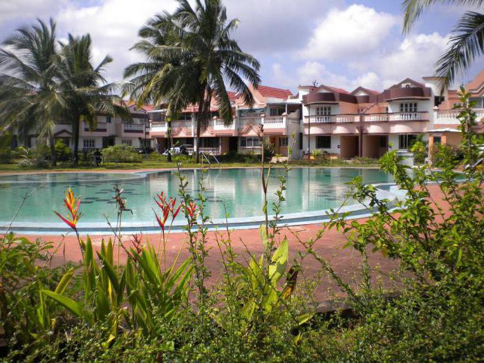 lotus beach resort 3 