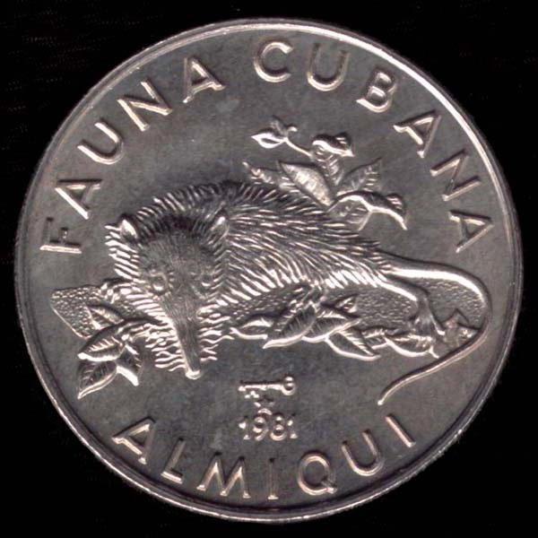 Кубинские деньги. Денежная единица Кубы. Кубинский песо. Кубинская валюта.