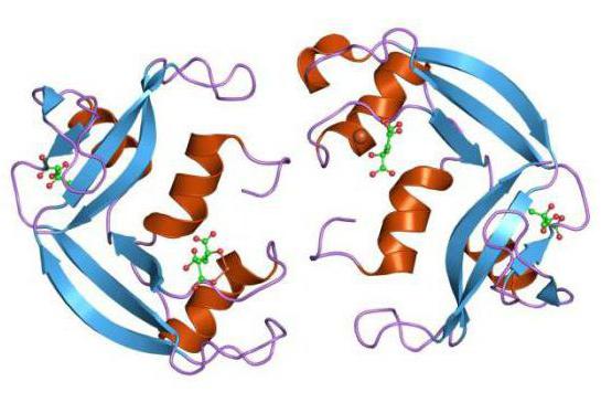 катионный эозинофильный белок