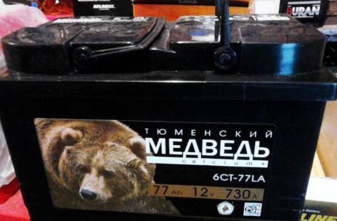 аккумулятор медведь