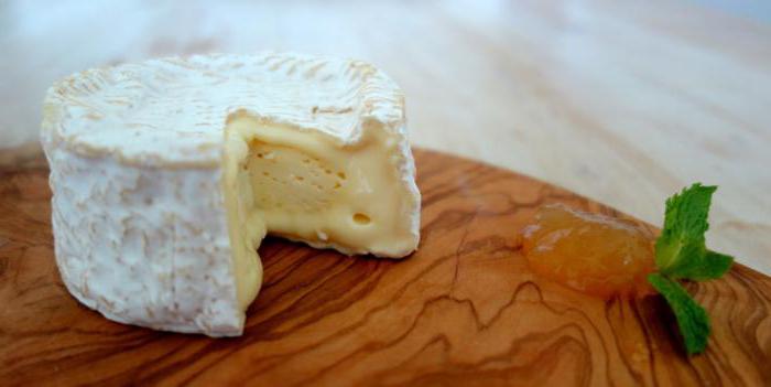 Лучшие сорта французских сыров: посадка и уход