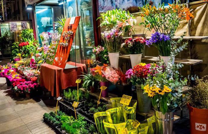 Бизнес-план цветочного магазина 
