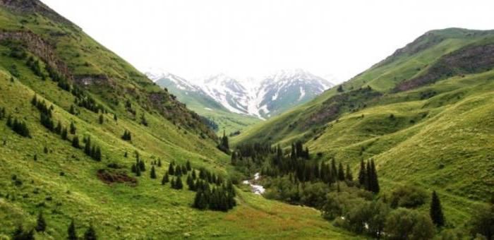 ошская область киргизия 