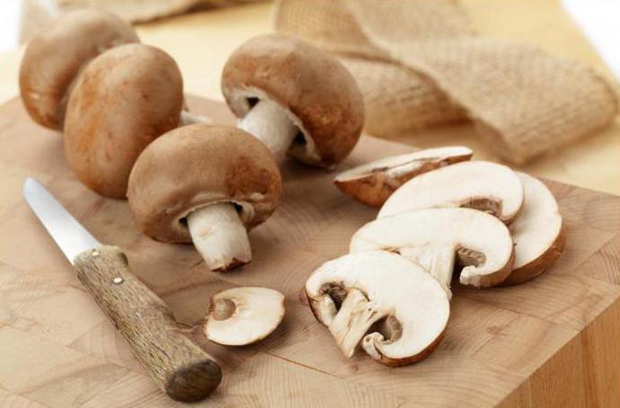 мясо с грибами в сметанном соусе рецепт