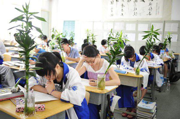 система дошкольного образования в китае