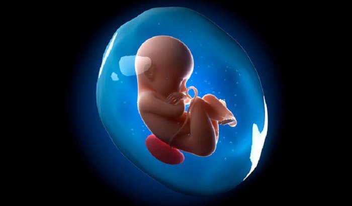 Индекс анатомической жидкости в 32 недели. Какая норма ИАЖ или индекса амниотической жидкости в зависимости от недели беременности, от чего зависит показатель? Ультразвуковое исследование в I триместре беременности