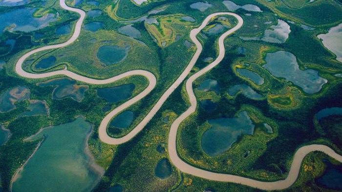 реки северной америки маккензи