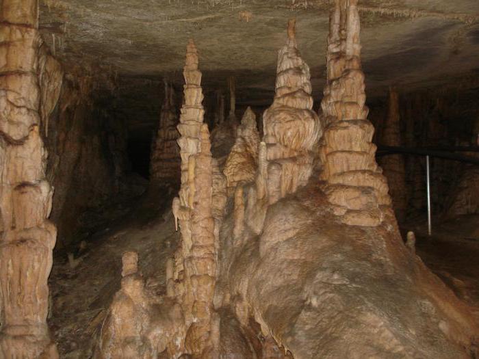 мамонтова пещера длина 