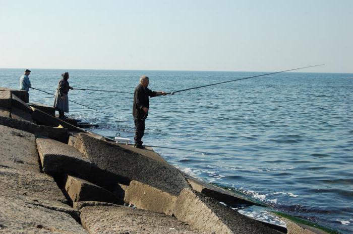 Места рыбалки на Днестре