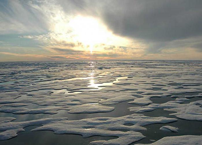 море северного ледовитого океана 