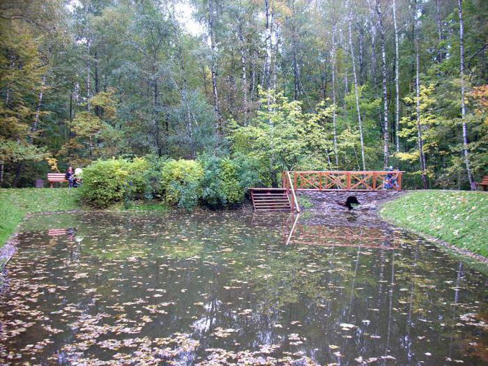 парк битцевский лес в москве