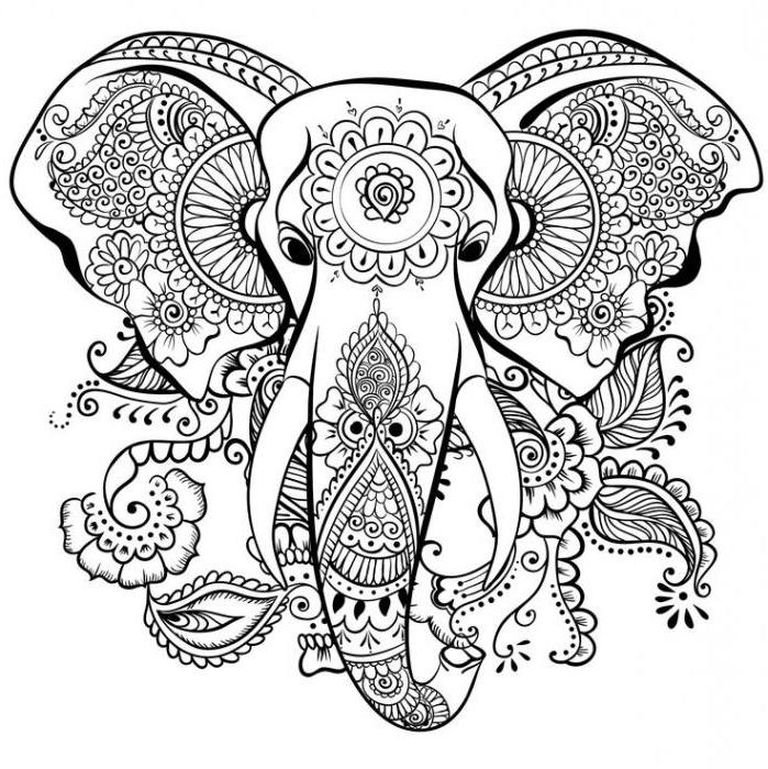 Слон  символ чего в разных культурах значение и