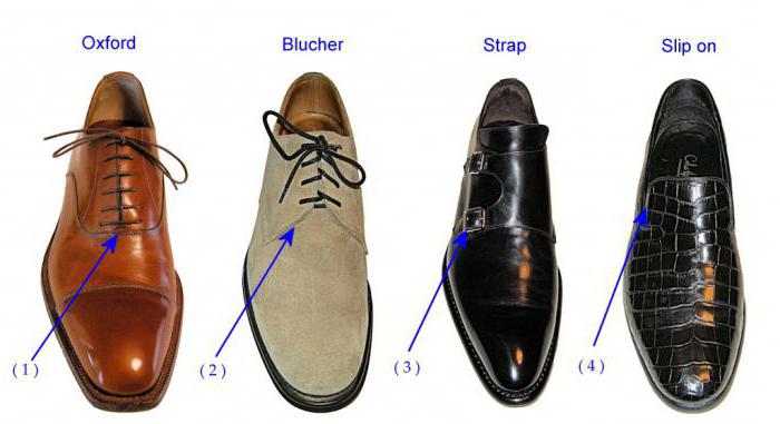 типы и виды мужских туфель