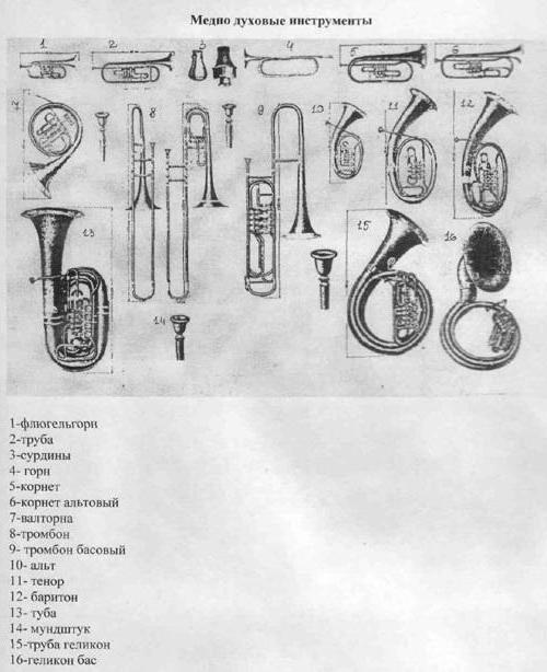 виды инструментальных оркестров