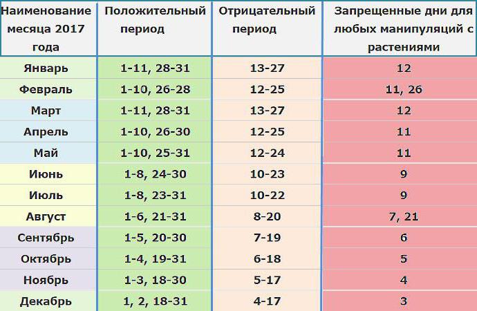 Благоприятные дни для пересадки комнатных растений: рекомендации  профессионалов :: SYL.ru