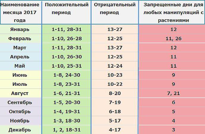 благоприятные дни для пересадки комнатных цветов 