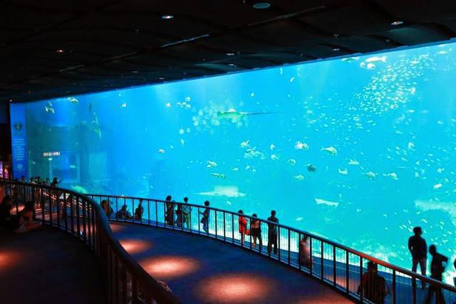 где самый большой океанариум в мире