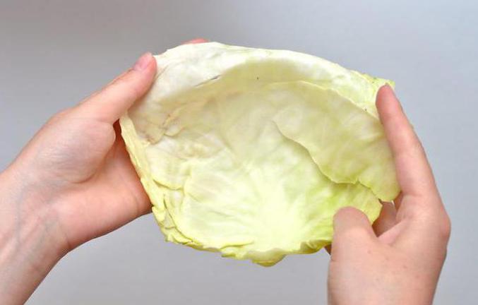 Польза капустного листа при лечении thumbnail