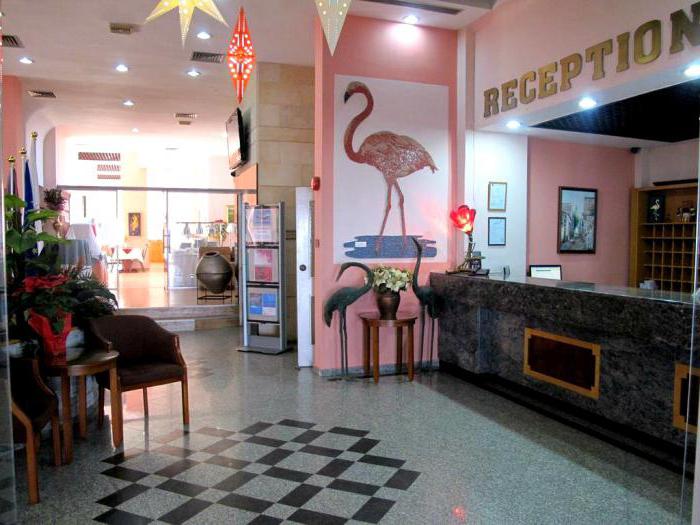 flamingo beach hotel 3 кипр