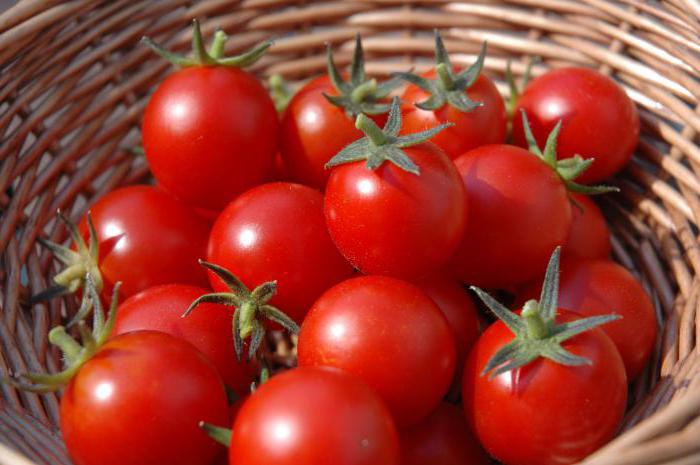 Какие витамины есть в салате из огурцов и помидоров thumbnail