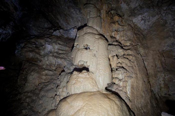 новоафонские пещеры в абхазии фото 