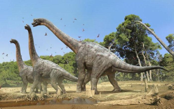 большой травоядный динозавр с длинной шеей 