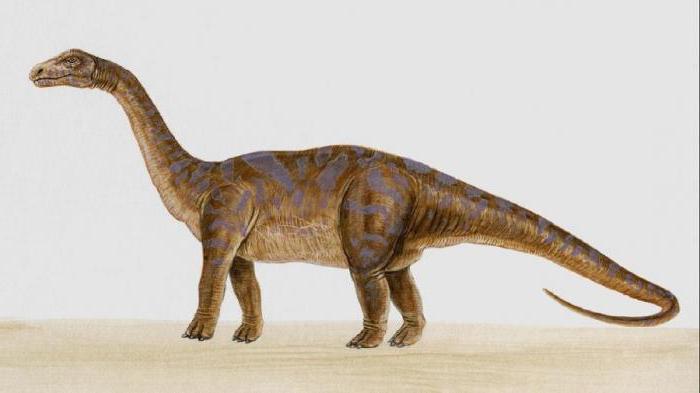 размеры динозавров 
