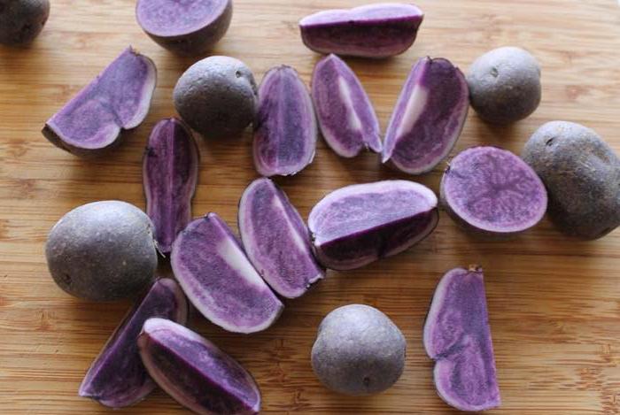 сорта фиолетового картофеля