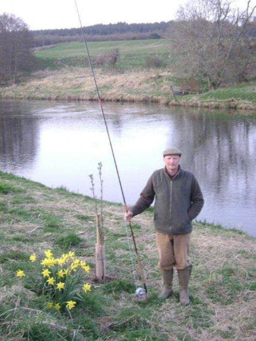 рыбалка на реке дон в ростове на дону