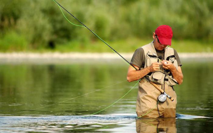 Информация о рыбалке на реке Лубянка в Подольском районе