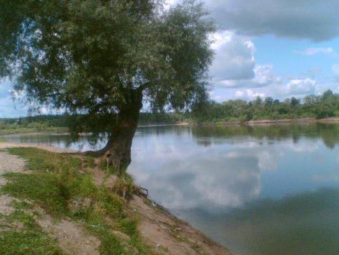 Река Чулым: фото