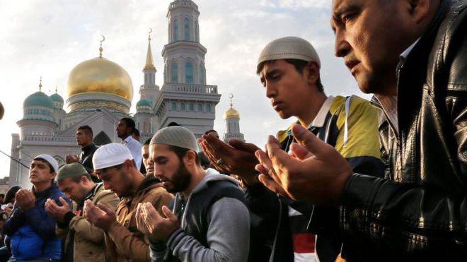 сколько мусульман живет в россии