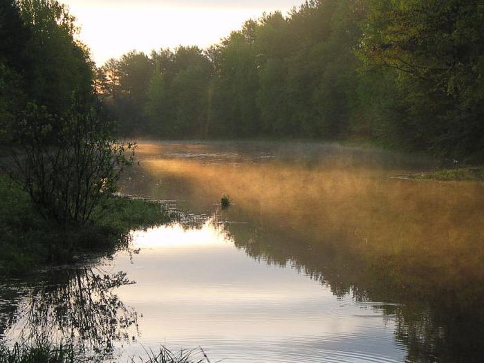 река сестра московская область рыбалка