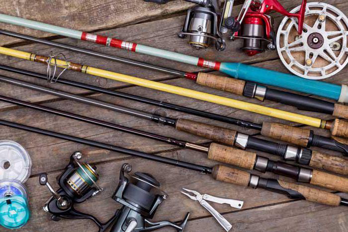 Катушки для рыбалки — какие бывают и как выбрать для удочки