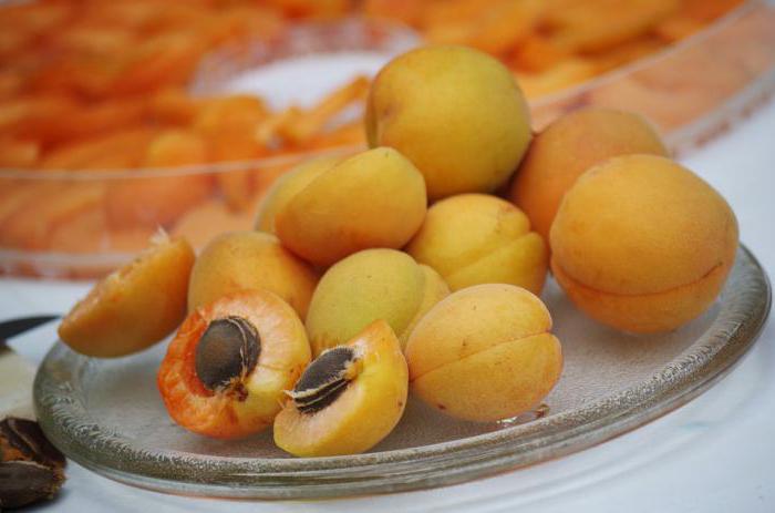 Как правильно хранить курагу в домашних условиях – засушенные абрикосы