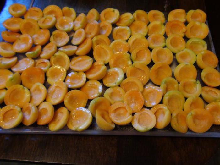 можно замораживать абрикосы