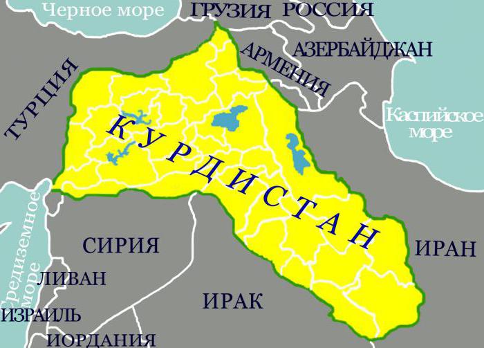 курдские языки